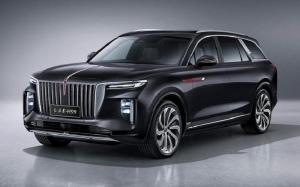 HongQi E-HS9 '2020